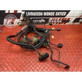 Faisceau électrique principale 
