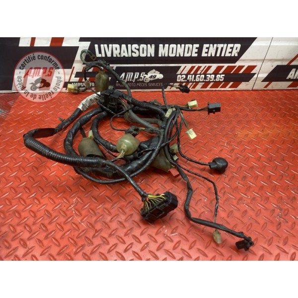 Faisceau électrique principale 