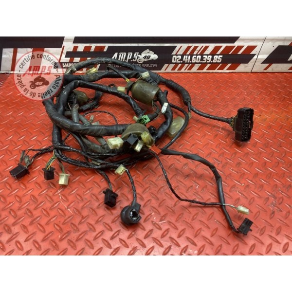 Faisceau électrique principale 