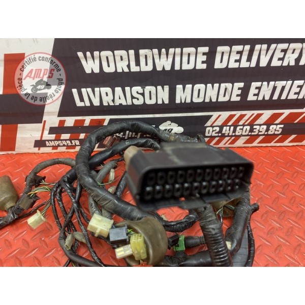 Faisceau électrique principale 