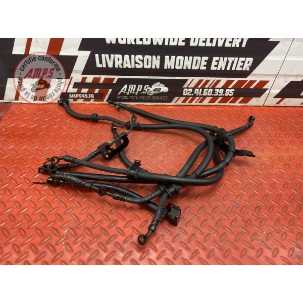 Kit de durite de frein avant