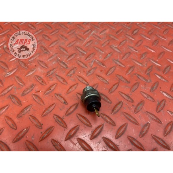 Sonde de température d'eau