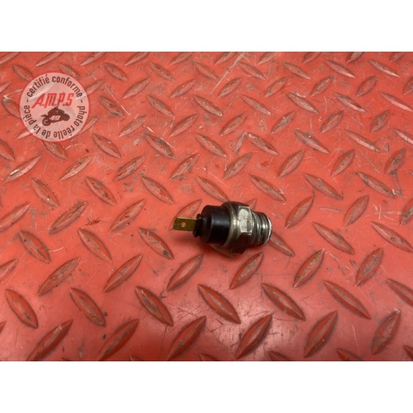 Sonde de température d'eau 