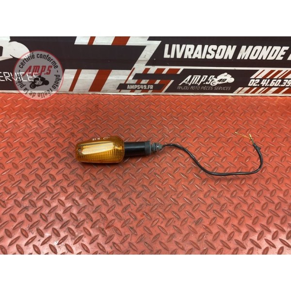 Clignotant arrière gauche