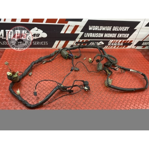 Faisceau électrique principale