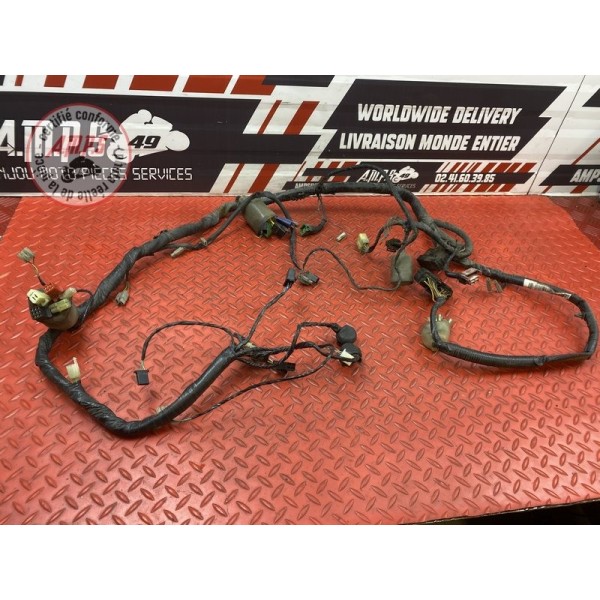 Faisceau électrique principale 