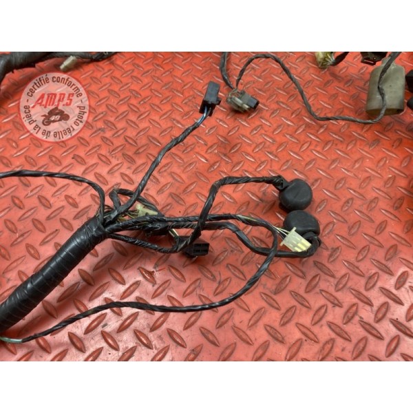 Faisceau électrique principale 