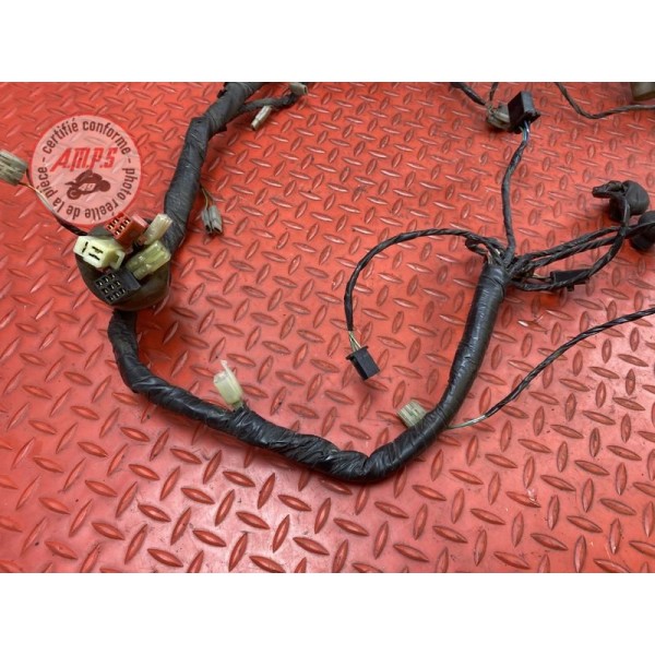 Faisceau électrique principale 