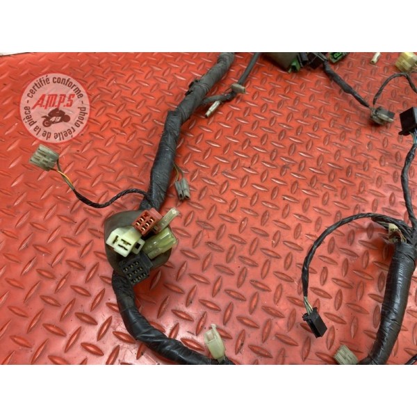 Faisceau électrique principale 