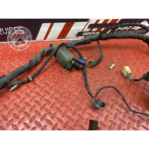 Faisceau électrique principale 