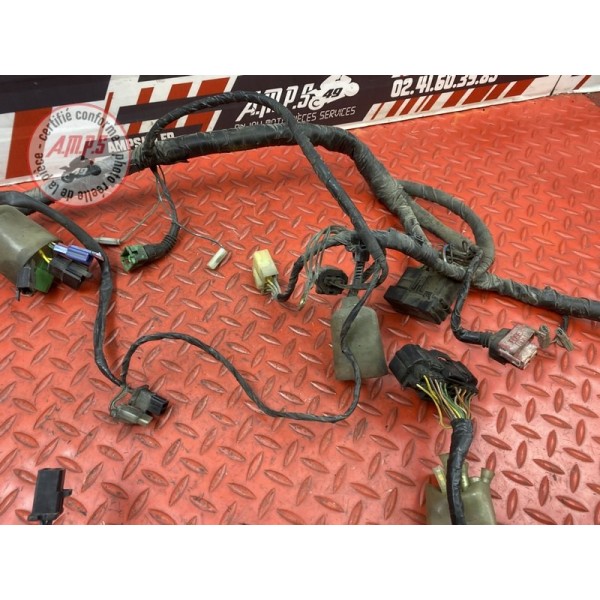 Faisceau électrique principale 