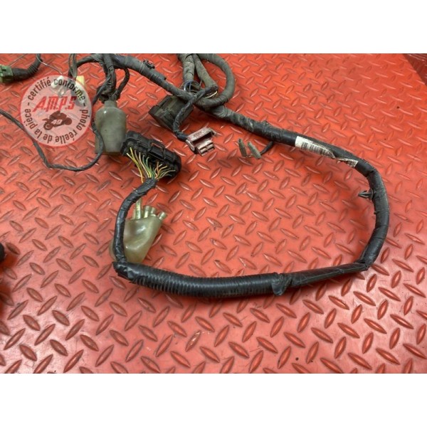 Faisceau électrique principale 