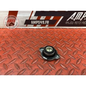 Bouchon de radiateur 