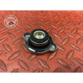 Bouchon de radiateur 