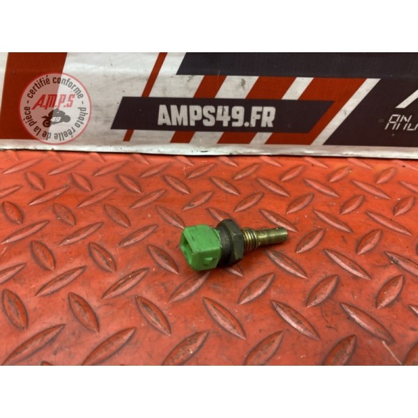 Sonde de tempéraure d'eau calorstat