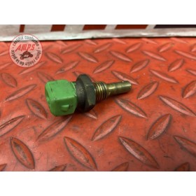 Sonde de tempéraure d'eau calorstat 