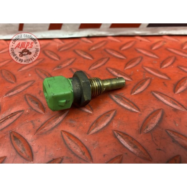 Sonde de tempéraure d'eau calorstat 