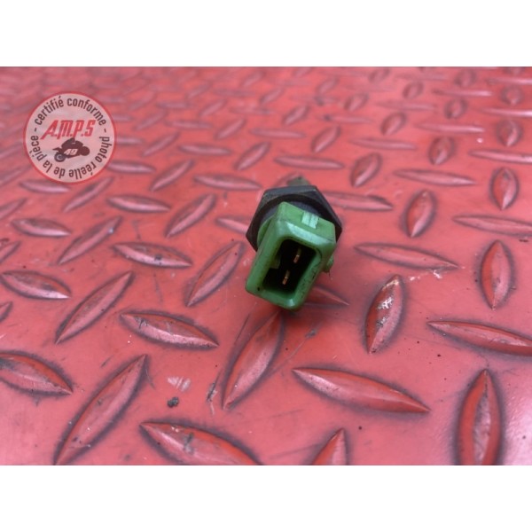 Sonde de tempéraure d'eau calorstat 