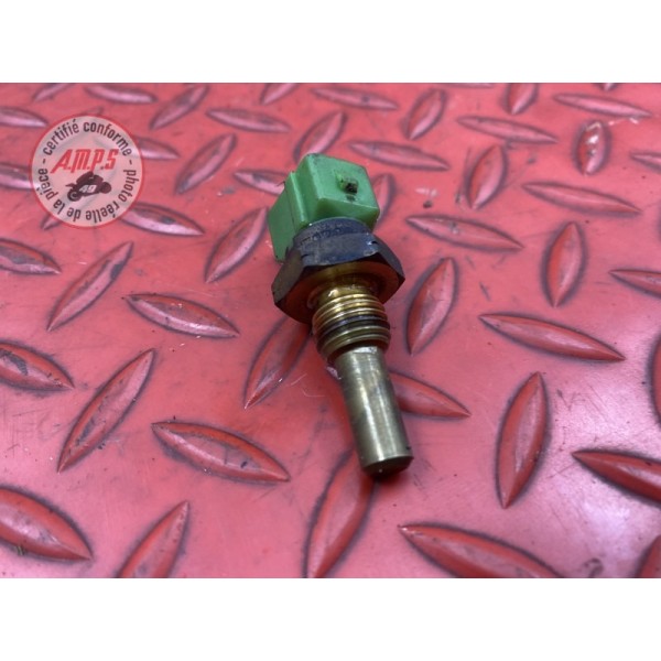 Sonde de tempéraure d'eau calorstat 