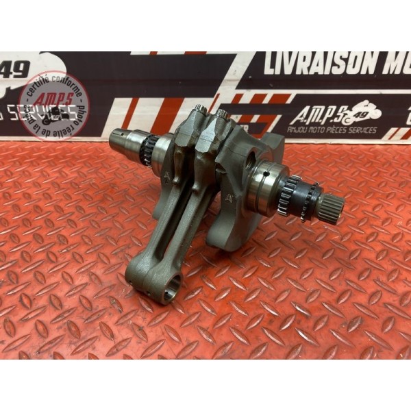 Vilebrequin avec bielles