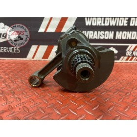 Vilebrequin avec bielles 