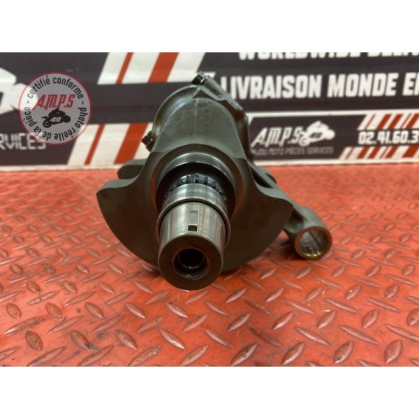 Vilebrequin avec bielles 