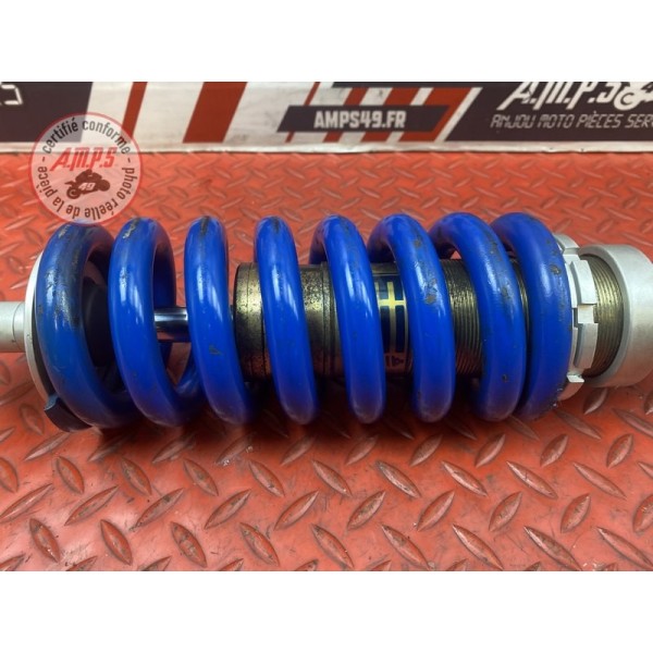 Amortisseur arrière 