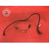 Cable de batterieFZS100002AN-970-DZH6-B01041951used