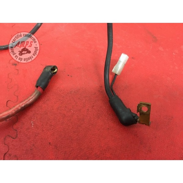 Cable de batterieFZS100002AN-970-DZH6-B01041951used