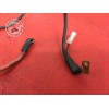 Cable de batterieFZS100002AN-970-DZH6-B01041951used