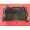 Radiateur d'eauFZS100002AN-970-DZH6-B01042017used