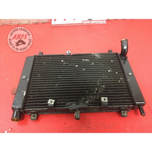 Radiateur d'eauFZS100002AN-970-DZH6-B01042017used