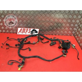 Faisceau électrique principaleSVS100003BR-876-VKB2-A31042419used