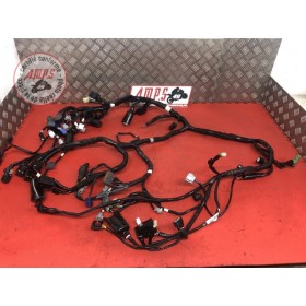 Faisceau électrique principaleH2SXEX-697-DSB7-B41043709used