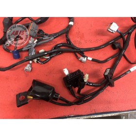 Faisceau électrique principaleH2SXEX-697-DSB7-B41043709used