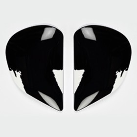 PLATINE Écran ARAI SAJ MARKER BLACK CASQUE INTEGRAL