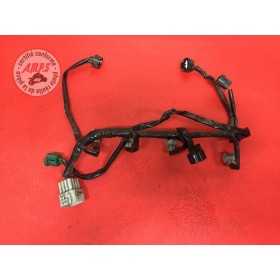 Faiscseau d'injectionFZ106BM-494-QFH6-B31045063used