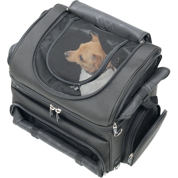PET VOYAGER PC3200C