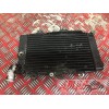 Radiateur d'eau600NTV905667-WZ-49B9-E01045843used