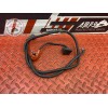 Cable de batterie 