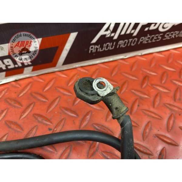 Cable de batterie 