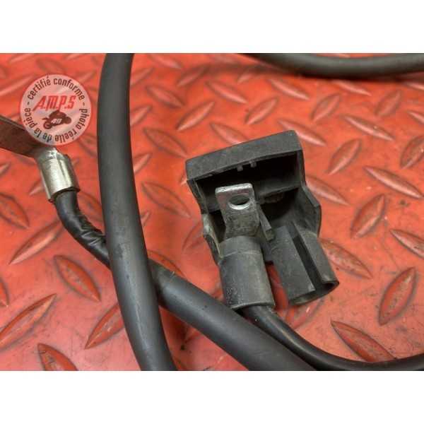 Cable de batterie 