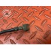 Cable de masse 