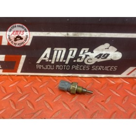 Sonde de température d'eau 