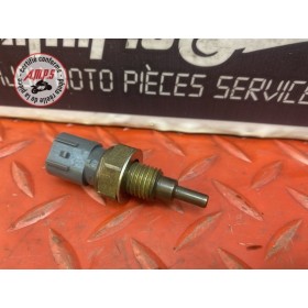 Sonde de température d'eau 