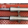 Paire de tube de fourche 