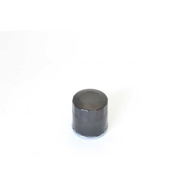 OIL FILTER POLARIS 