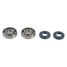 CRANKSHAFT REBUILDING KIT 