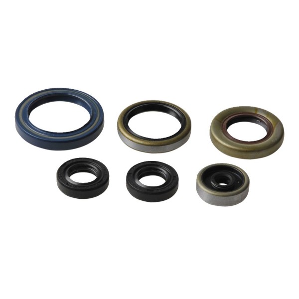 ENGINE OIL SEALS KIT