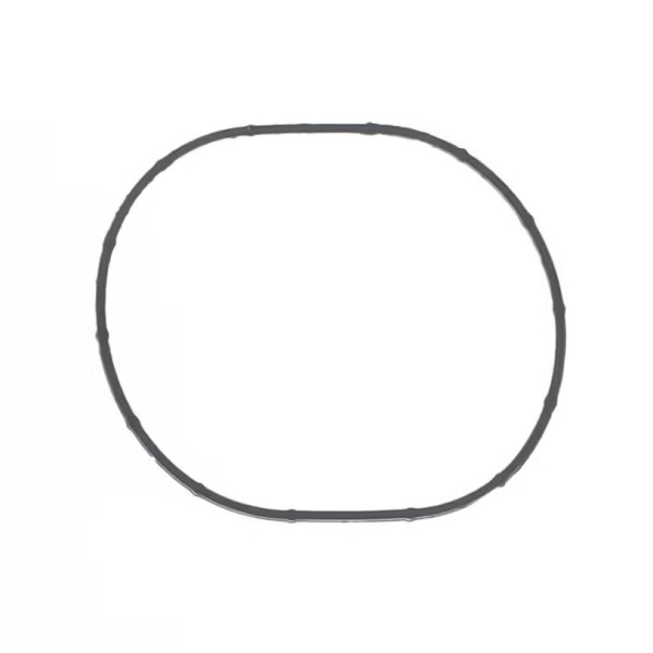 INTAKE GASKET DUC
